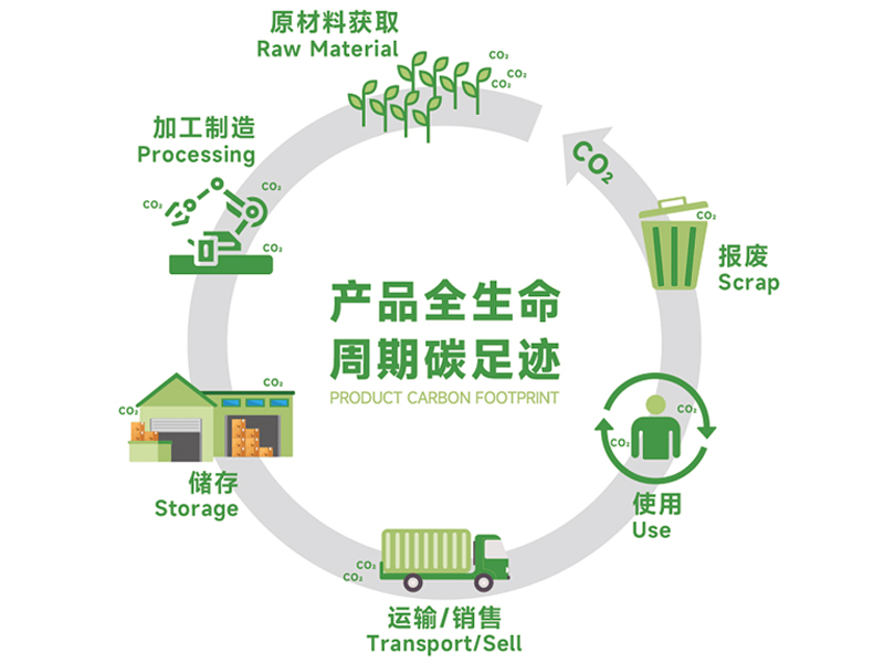 1732168594245337.jpg 4.jpg