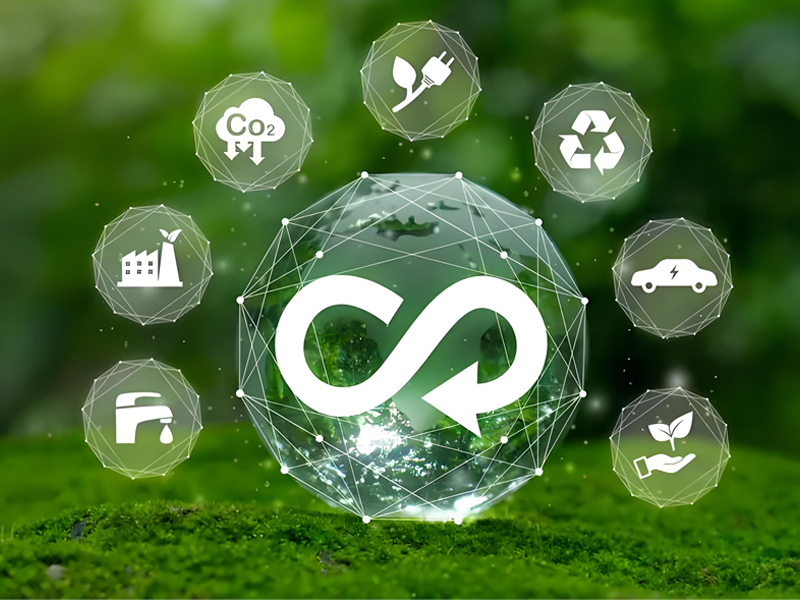 1732329382803200.jpg 2.jpg